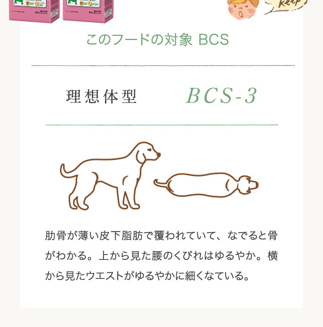 このフードの対象: BCS理想体型BCS-3