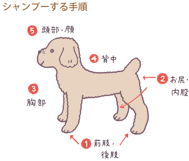 犬のお風呂の入れ方と乾かし方 犬のお風呂 教えて犬ノート 犬のお悩みスッキリ解決