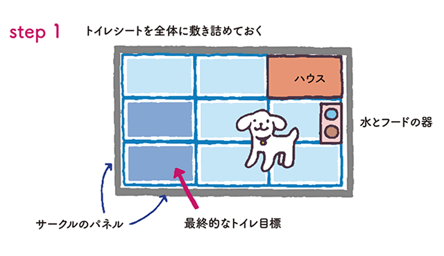 子犬のトイレの覚えさせ方は トイレのしつけ 教えて犬ノート 犬のお悩みスッキリ解決