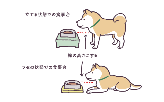 愛犬の老化と向き合う 教えて犬ノート 犬のお悩みスッキリ解決 ペットライン