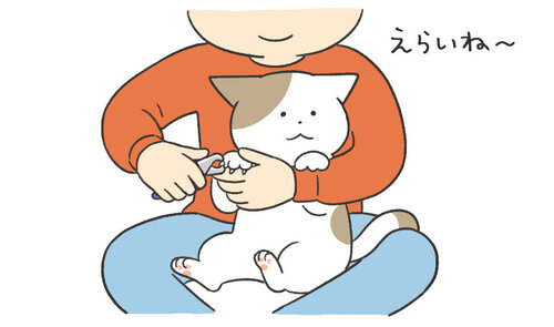 猫_202311_リライト記事_25_猫 爪切り_イラスト_アイキャッチ01_仕上げ.jpg