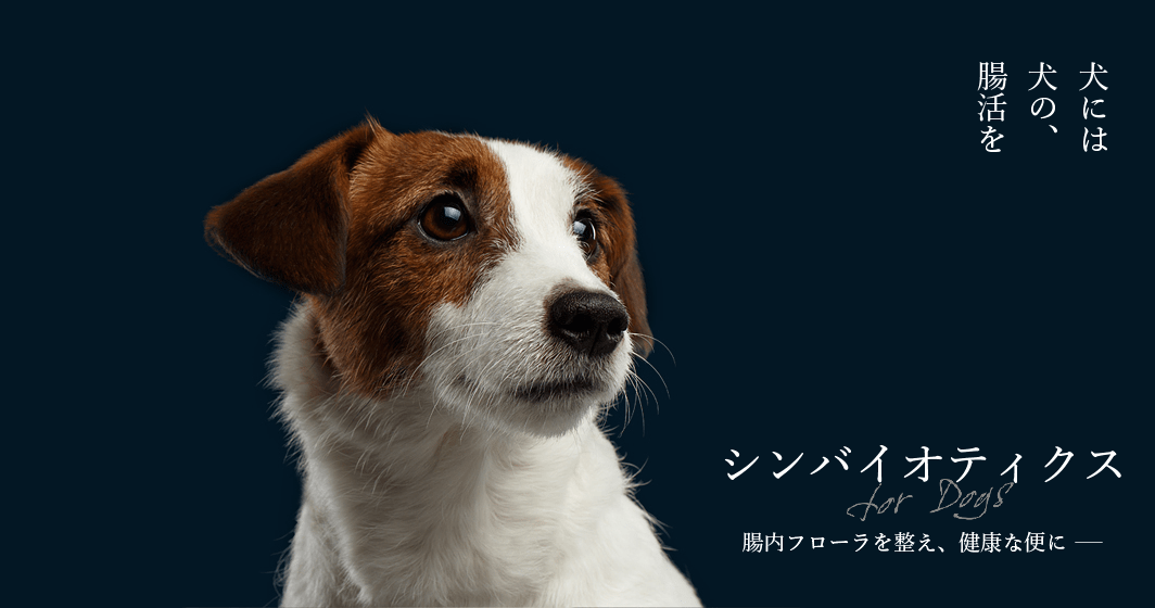 犬には犬の、腸活を シンバイオティクス 腸内フローラを整え、健康な便に