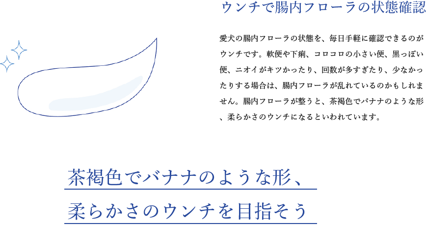 ウンチで腸内フローラの状態確認。愛犬の腸内フローラの状態を、毎日手軽に確認できるのがウンチです。軟便や下痢、コロコロの小さい便、黒っぽい便、ニオイがキツかったり、回数が多すぎたり、少なかったりする場合は、腸内フローラが乱れているのかもしれません。腸内フローラが整うと、茶褐色でバナナのような形、柔らかさのウンチになるといわれています。茶褐色でバナナのような形、
柔らかさのウンチを目指そう。