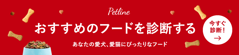 おすすめのフードを診断する