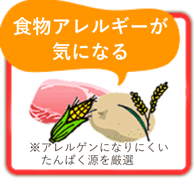 食物アレルギーが気になる