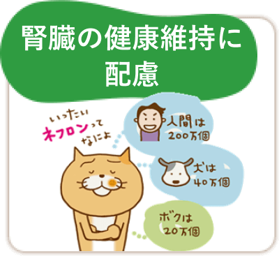 腎臓の健康維持に配慮