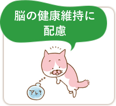 脳の健康維持に配慮