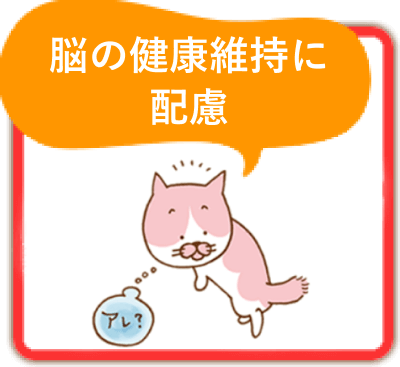 脳の健康維持に配慮