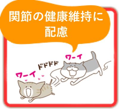関節の健康維持に配慮