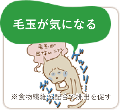 毛玉が気になる
