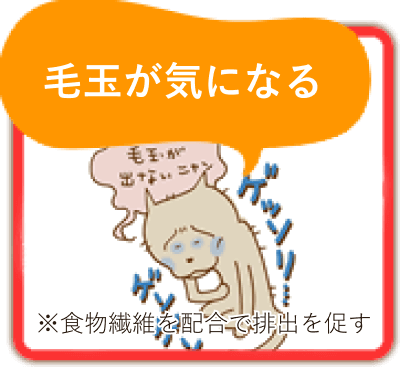 毛玉が気になる