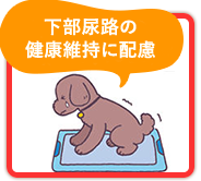 下部尿路の健康維持に配慮