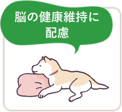 脳の健康維持に配慮