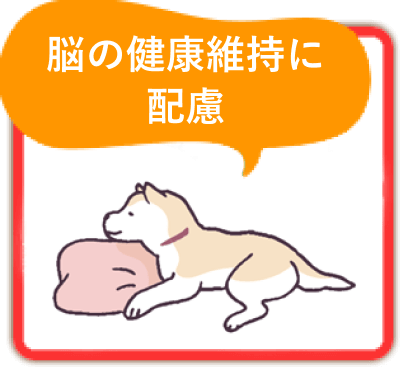 脳の健康維持に配慮