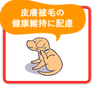 皮膚被毛の健康維持に配慮