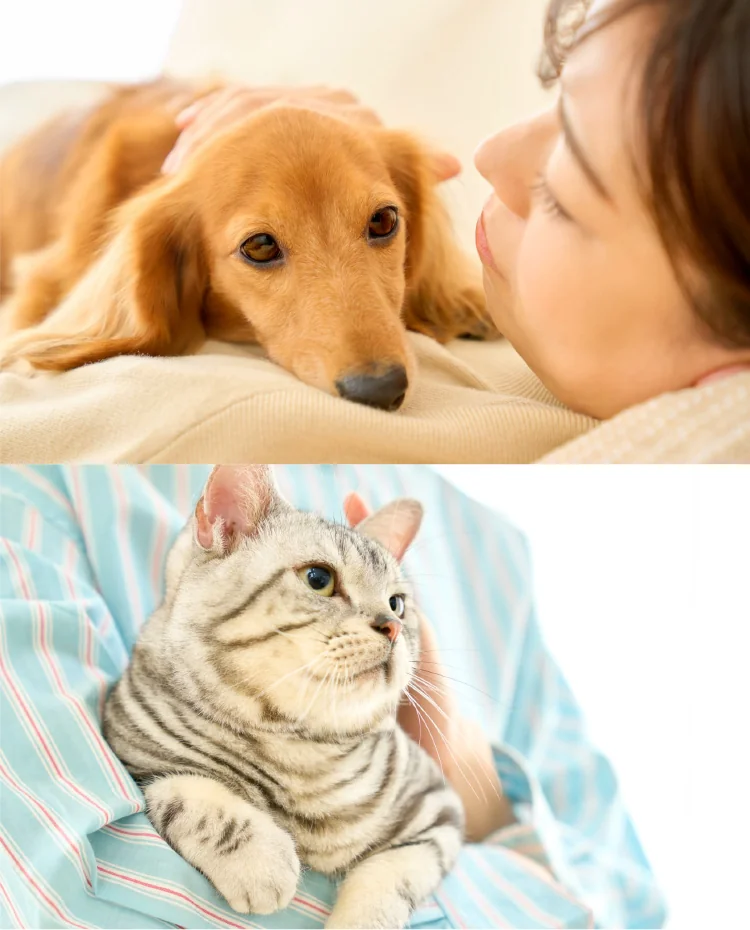 ドクターズケアCare｜Dr.'s（ドクターズ）| ペットライン