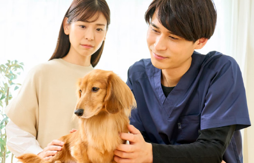 ドクターズケアCare|Dr.'s(ドクターズ)| ペットライン ドクターズケアCare|Dr.'s(ドクターズ)| ペットライン
