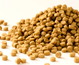 ドクターズケアCare｜Dr.'s（ドクターズ）| ペットライン