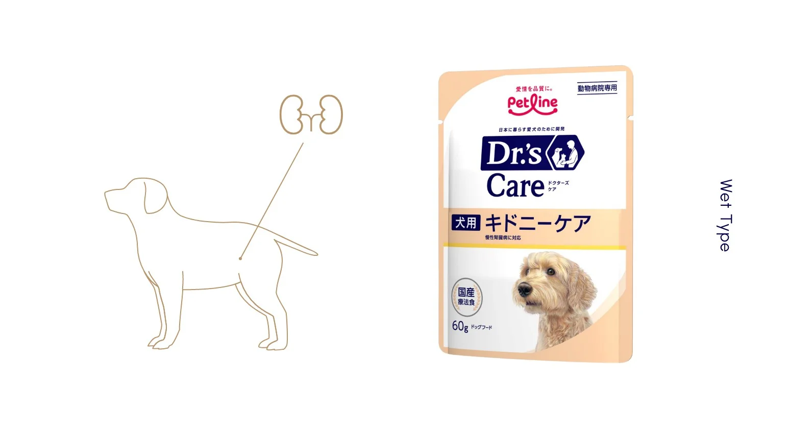 イラストと商品画像