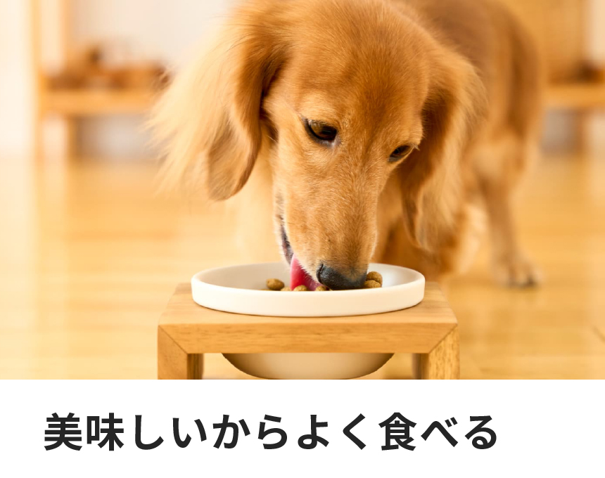 ドクターズ ケア 犬用アミノプロテクトケア えんどう豆