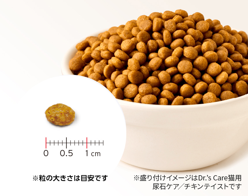 ドクターズケア 猫用キドニーケア プラス（可溶性繊維）480g 腎臓病療法食