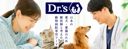 キャットフード「ドクターズケア 猫用キドニーケア フィッシュテイスト 