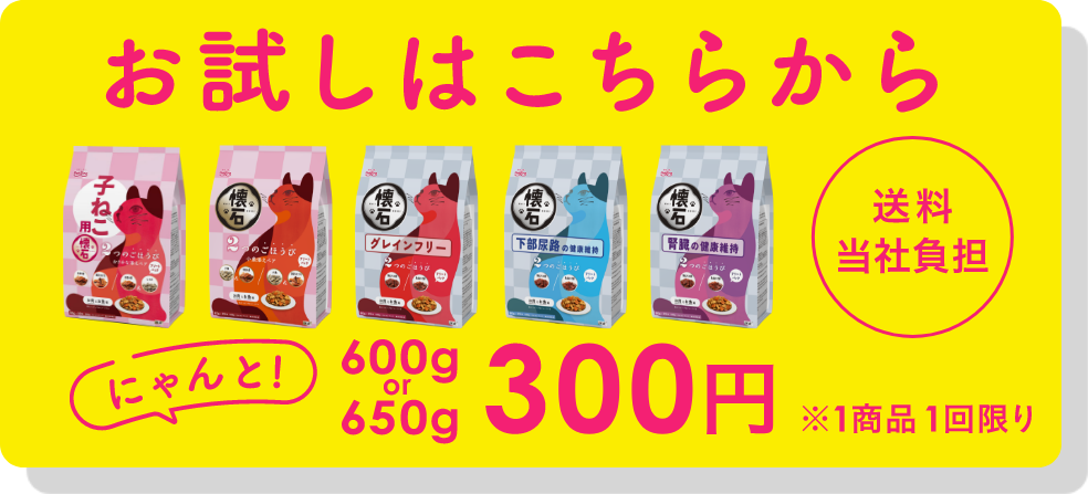 お試しはこちらから