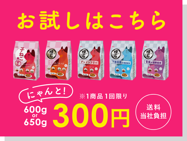 お試しはこちらから