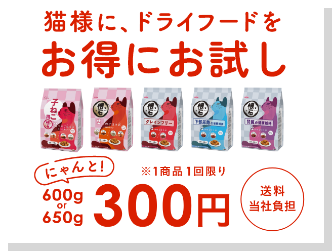 お試しはこちらから