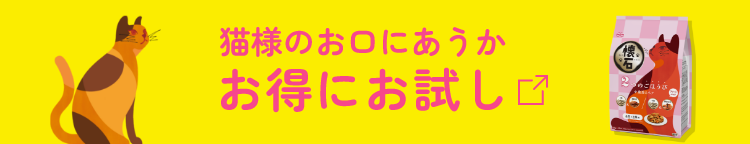 猫様のお口にあうか｜お得にお試し