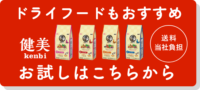 ドライフードもおすすめ｜お試しはこちらから