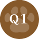 Q1