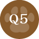 Q5