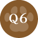 Q6