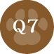 Q7