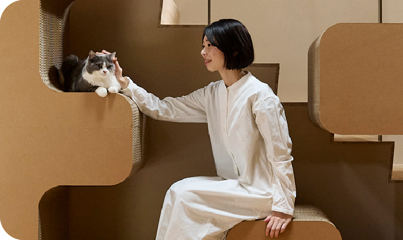 猫様と飼い主が、一緒に過ごせるキャットタワーイメージ