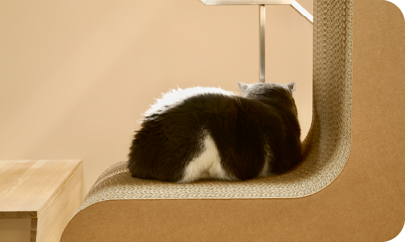 キャットタワーイメージ