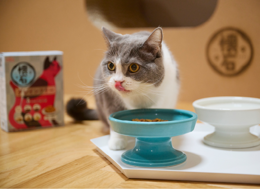 猫様