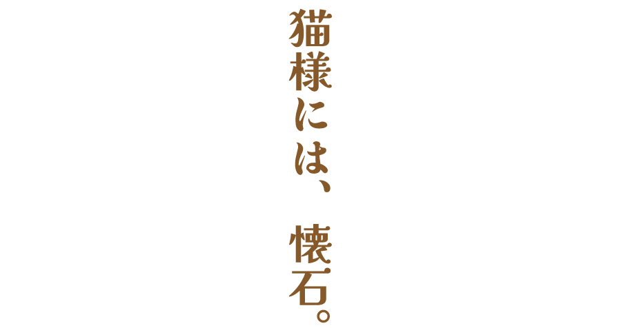 猫様には、懐石