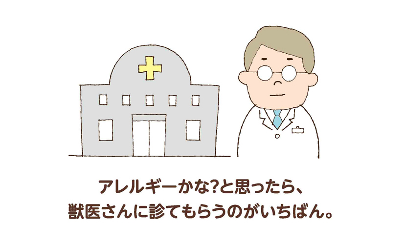 アレルギーかな？と思ったら、獣医さんに診てもらうのがいちばん。