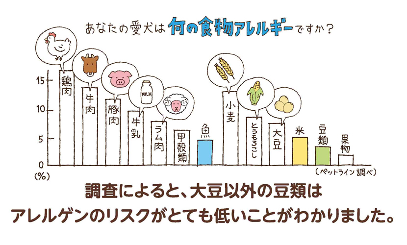 調査によると、大豆以外の豆類はアレルゲンのリスクがとても低いことがわかりました。