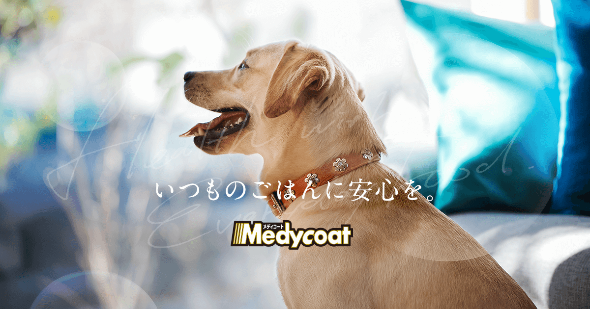 腸内フローラケア メディコート おなかから愛犬の健康を維持