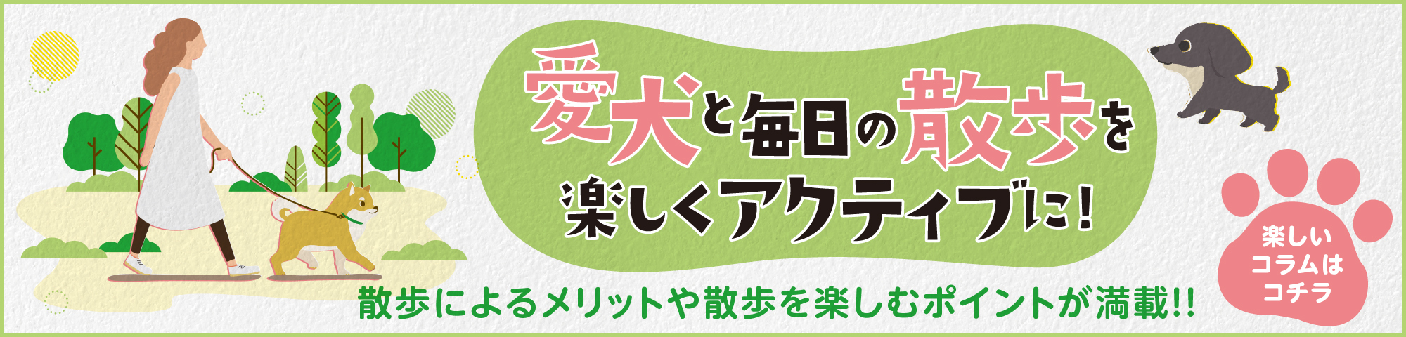愛犬と毎日の散歩wp楽しくアクティブに