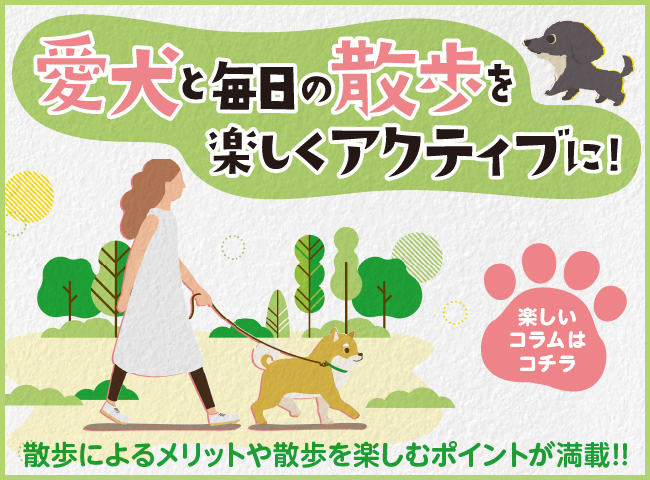 愛犬と毎日の散歩wp楽しくアクティブに