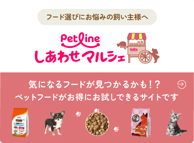 腸内フローラケア メディコート おなかから愛犬の健康を維持