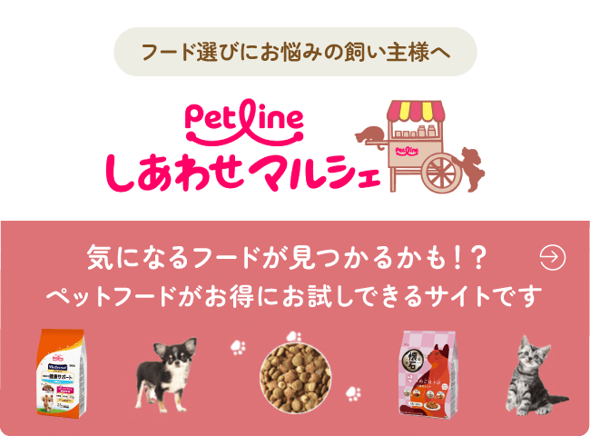 フード選びにお悩みの皆様へ 通常版サイズの腎臓の健康維持がお試しできます。