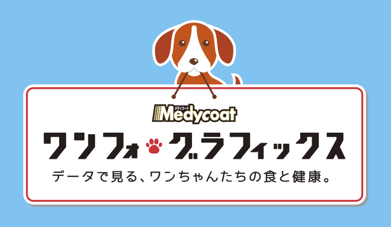 ワンフォ・グラフックス