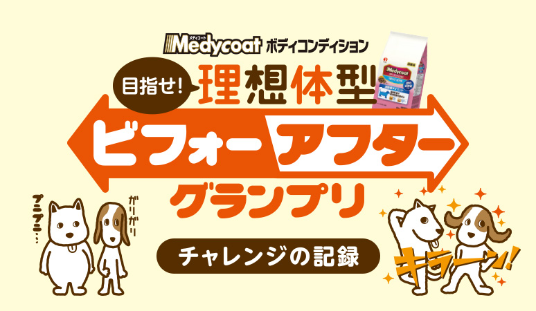 目指せ理想体型 ビフォー・アフターグランプリ(チャレンジの日記)