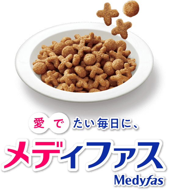 メディファスロゴ