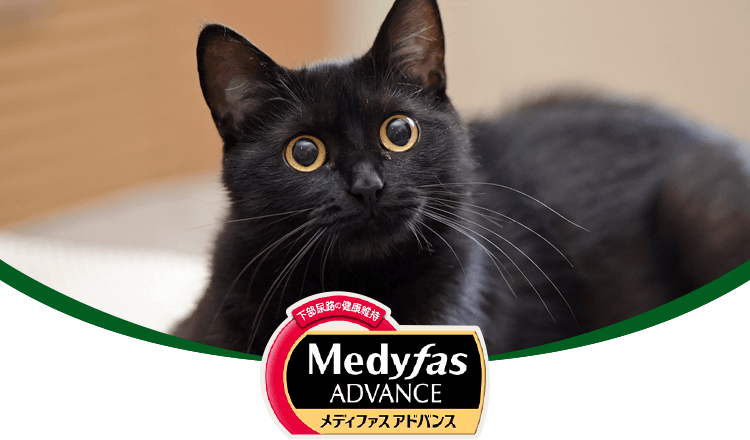 Medyfas